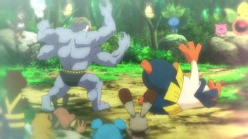 machamp serebii|Machamp Vs. Hariyama .